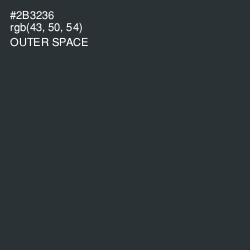#2B3236 - Outer Space Color Image